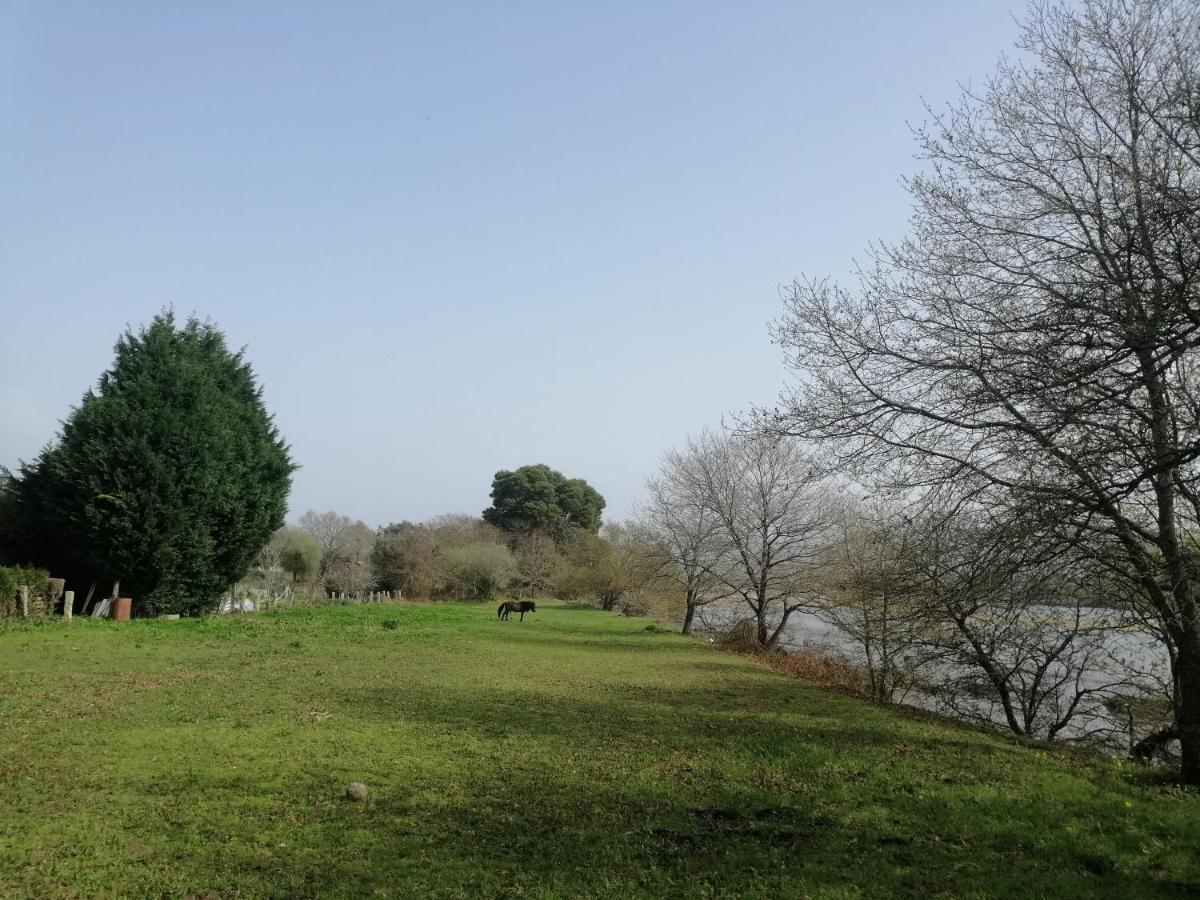 Royalheronhouse Viana do Castelo Esterno foto